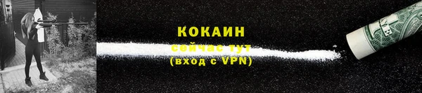 прущие грибы Волосово