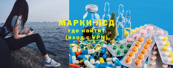 прущие грибы Волосово