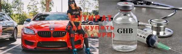 прущие грибы Волосово
